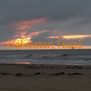 Meet your Posher, Belinda